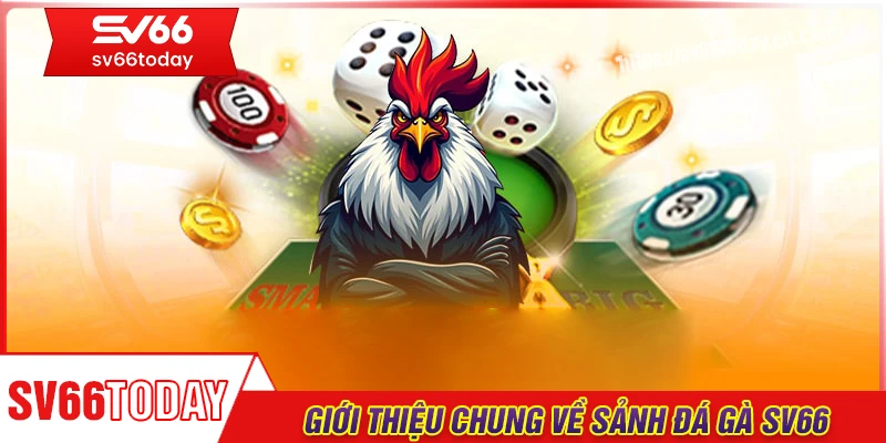 Giới thiệu chung về đá gà Sv66