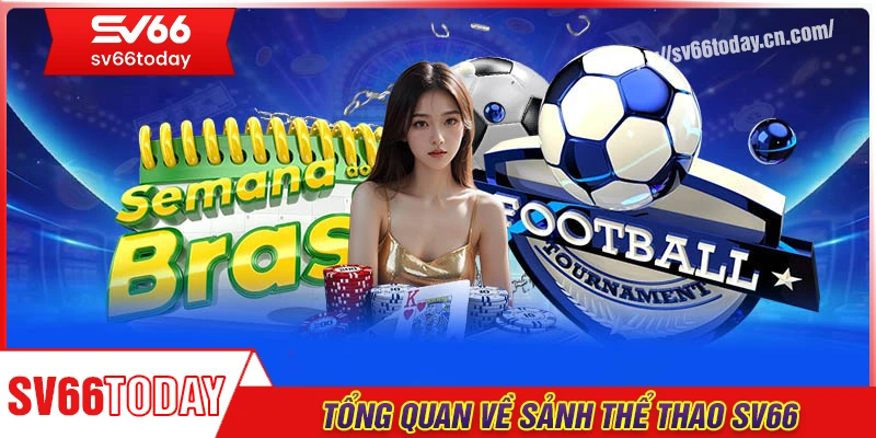 Tổng quan về sảnh thể thao Sv66