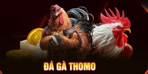 da-ga-tre-thomo-dinh-cao-cua-su-kich-tinh-va-dang-cap-nhat